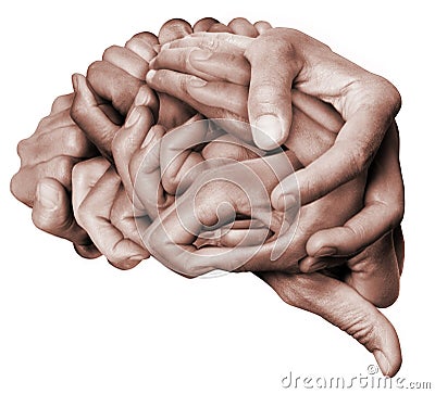 Human brain made with hands Stock Photo